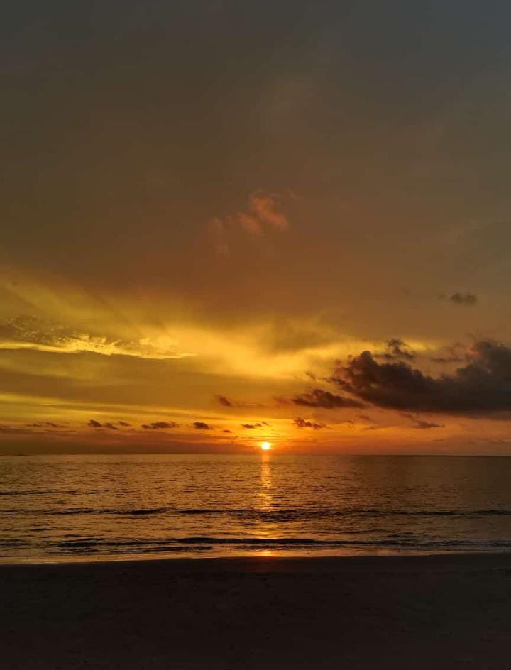 Image Alternative text