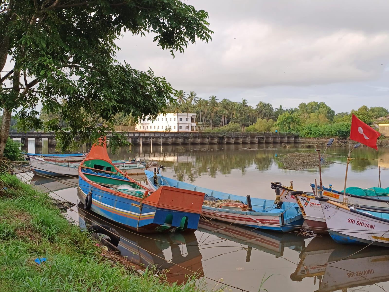 Image Alternative text