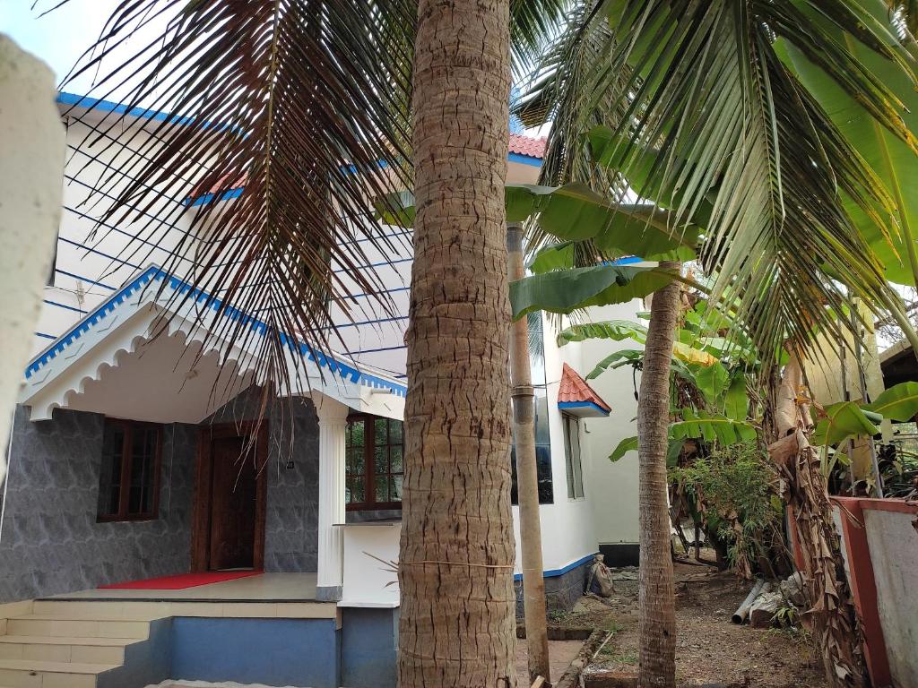 Image Alternative text