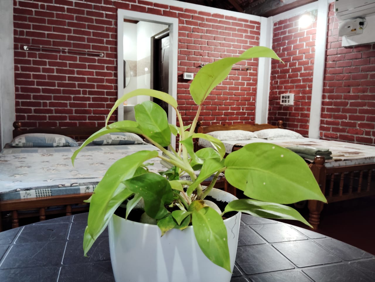 Image Alternative text